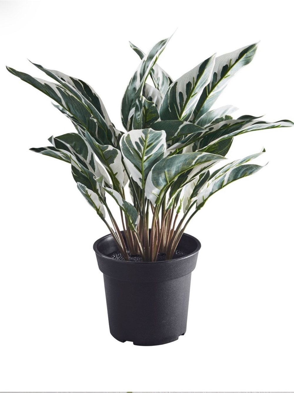 IKEA Variegated Green and White Potted Artificial Plant #619